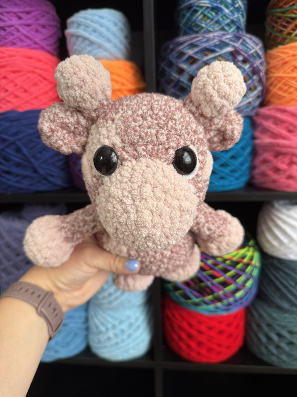Pink Giraffe