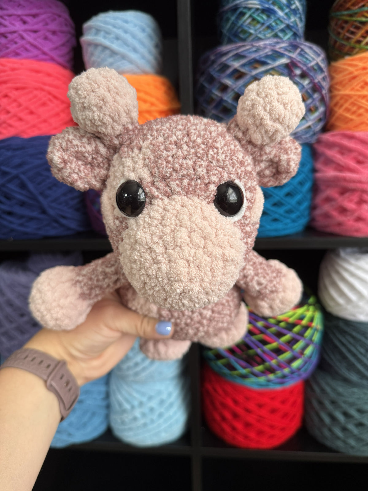 Pink Giraffe