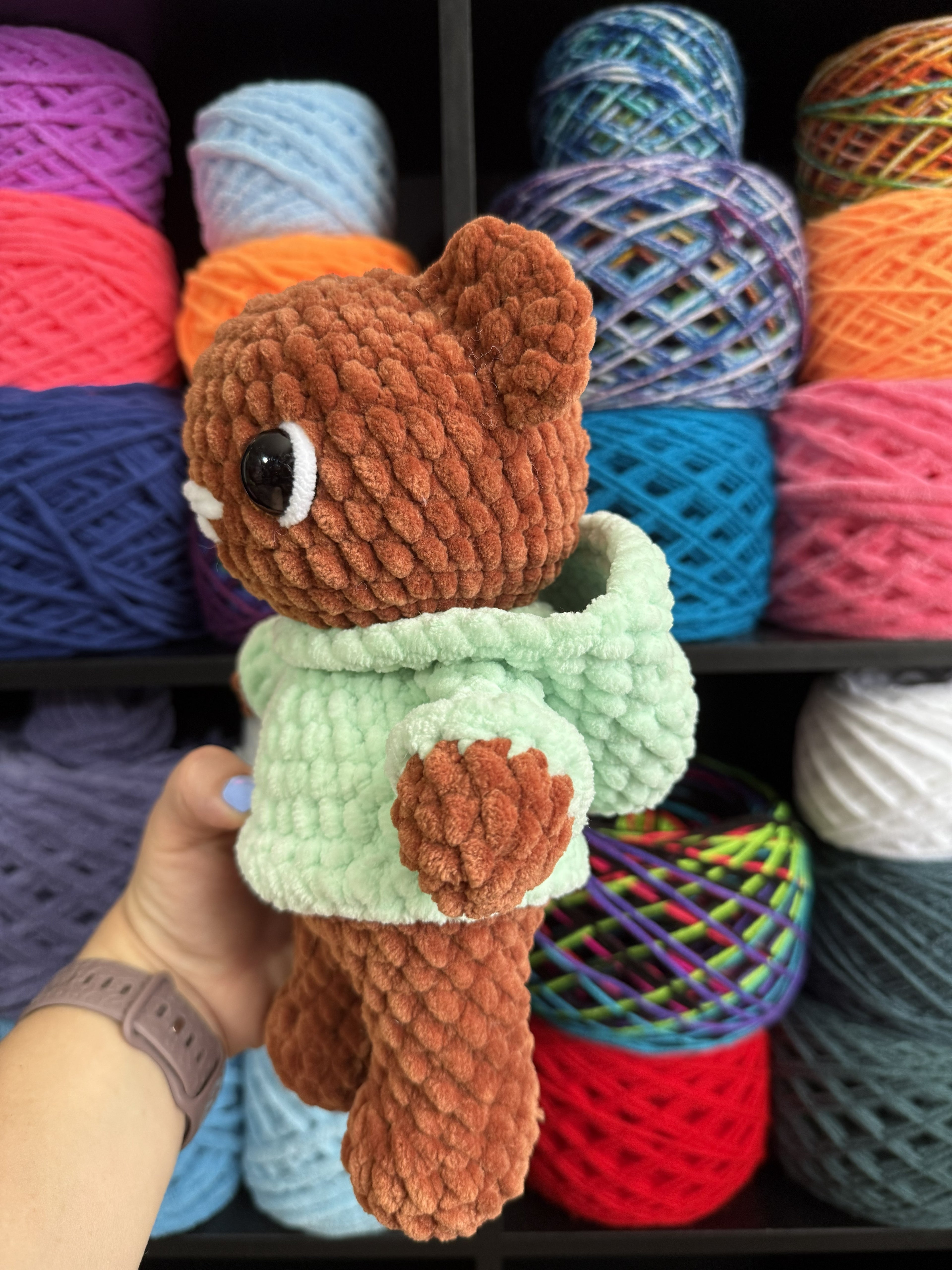 Mint Green Hoodie Bear