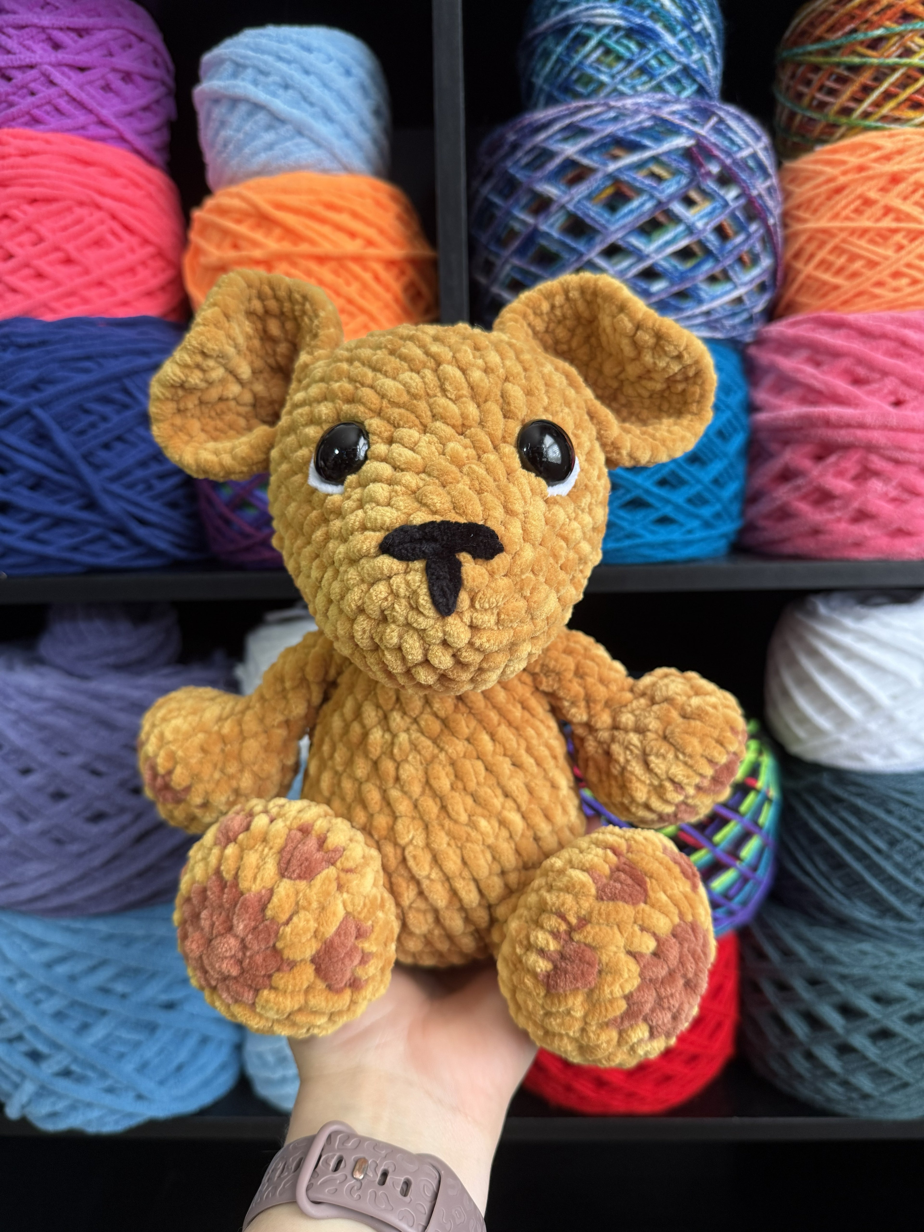 Brown Puppy