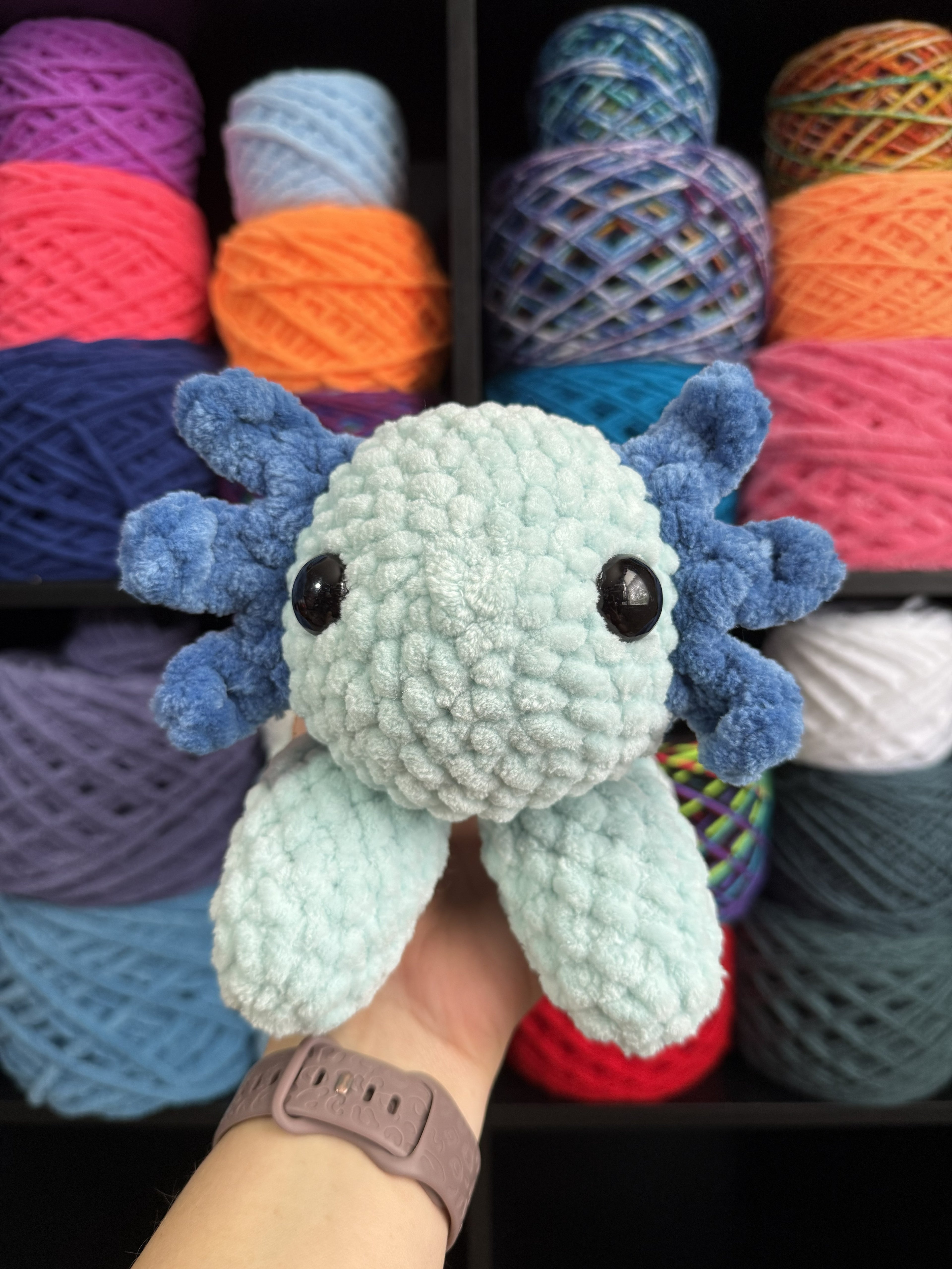 Jumbo Blue Axolotl