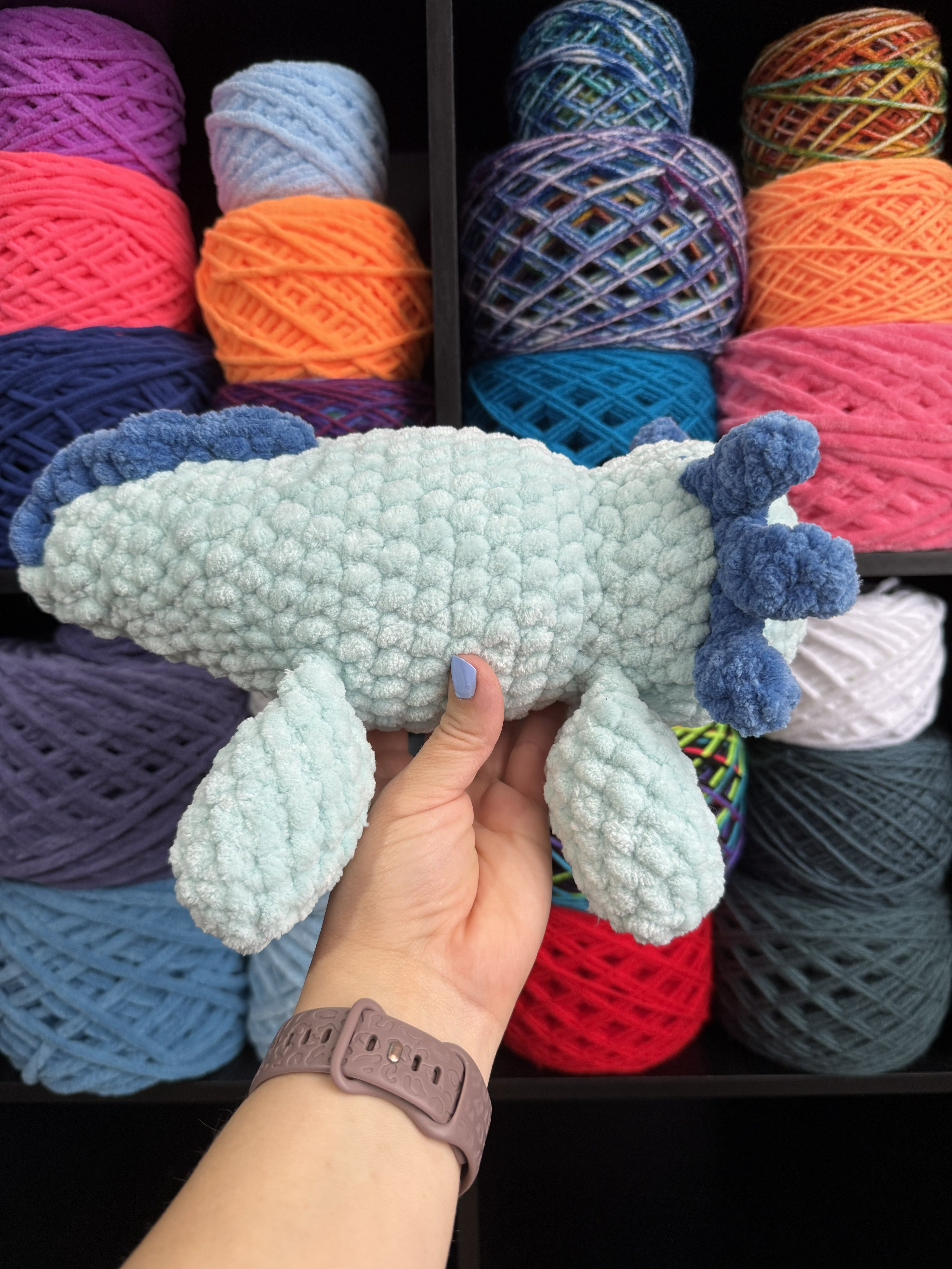 Jumbo Blue Axolotl