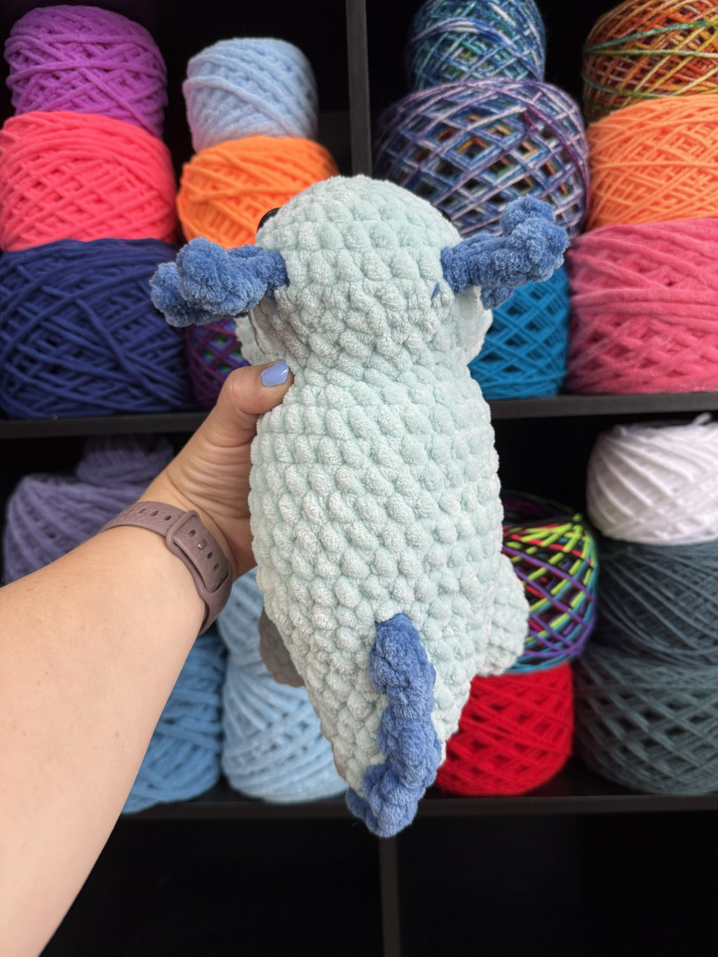 Jumbo Blue Axolotl
