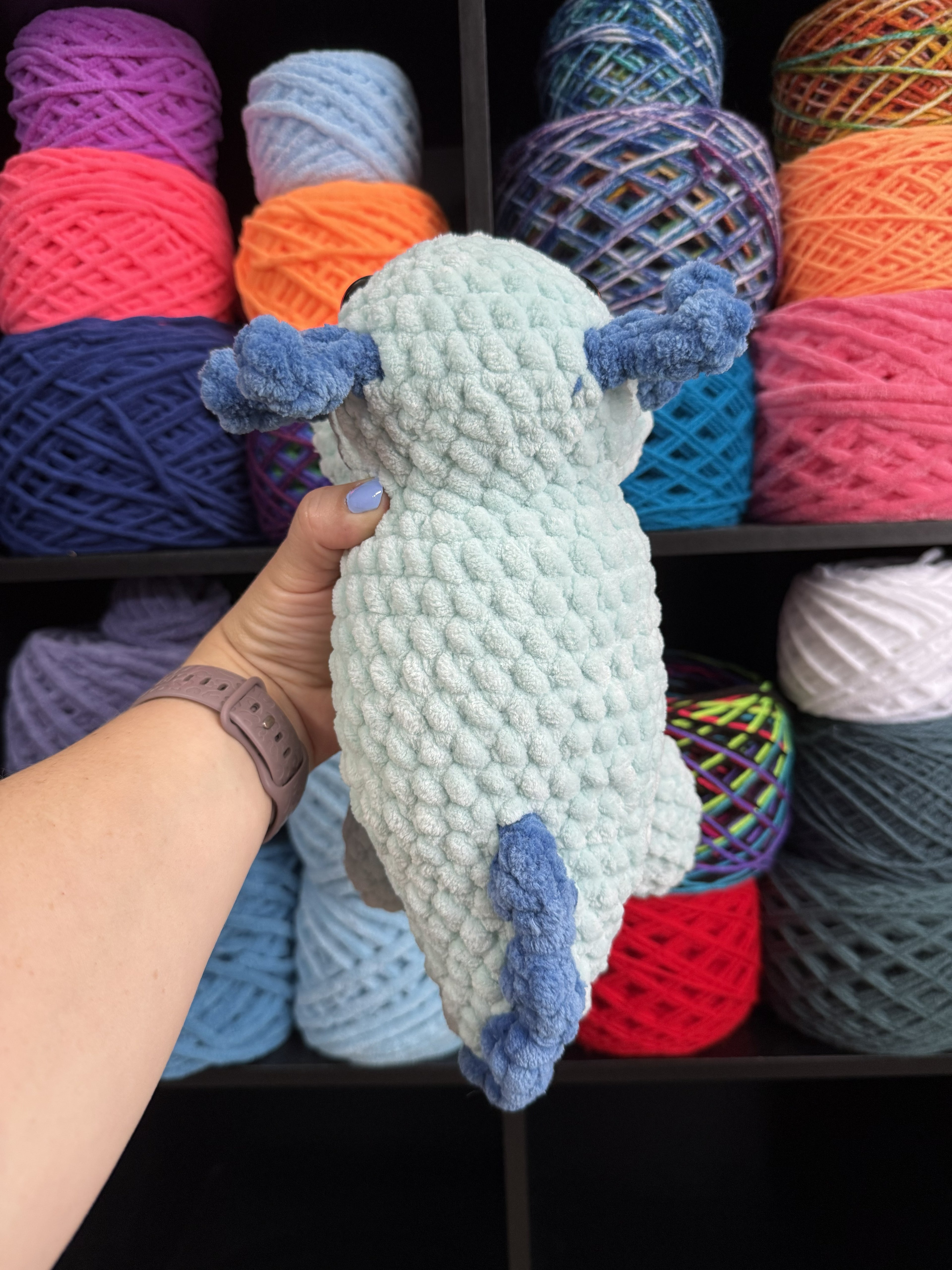 Jumbo Blue Axolotl