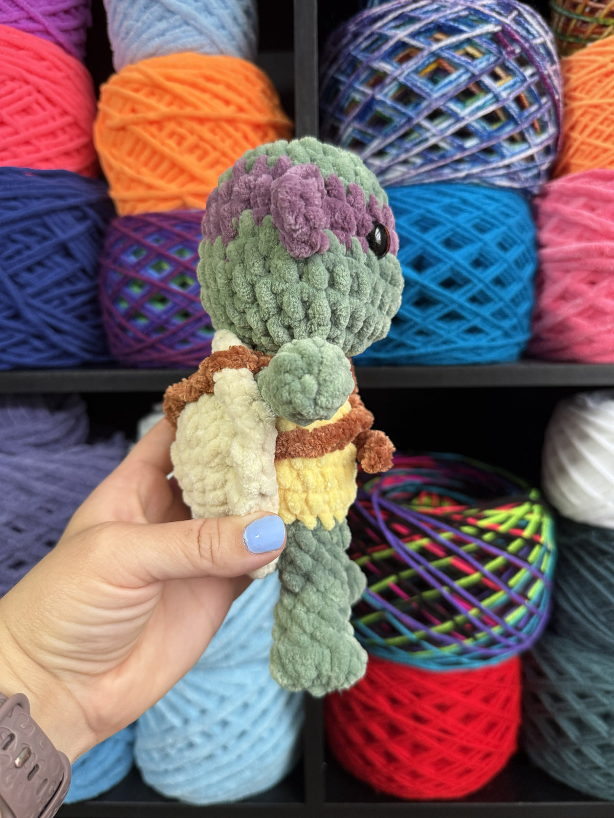 Purple Ninja Turtle