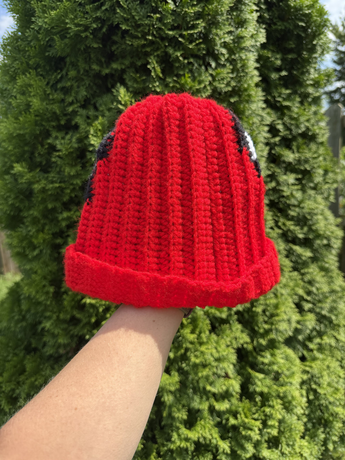 Peter Beanie